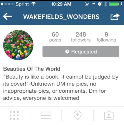 The Wonderful World of @Wakefields_Wonders
