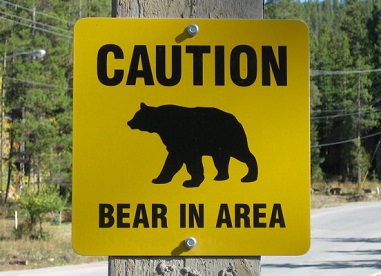 Woman Survives Bear Attack