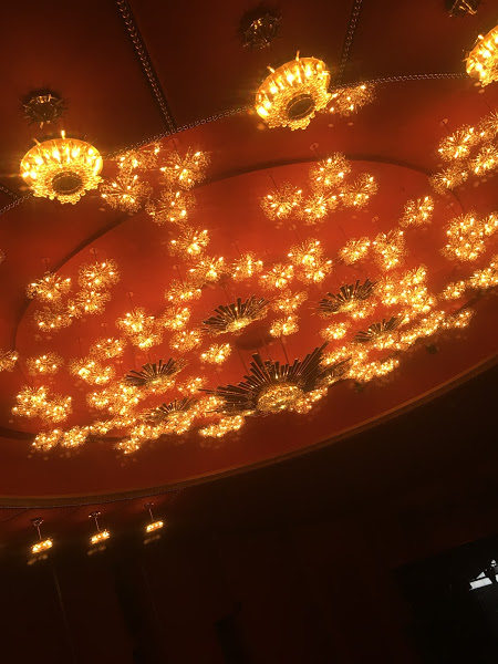 Flowers on the Ceiling