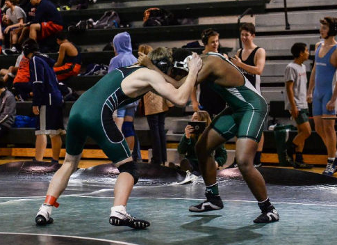 Wrestling Warriors Are Grappling with Seasons Ups and Downs