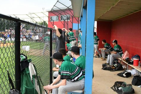 Wakefield Baseball Keeps Hitting Their Stride