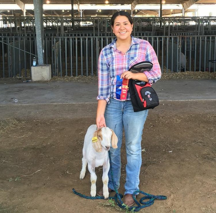 Vivian Tirado ’20