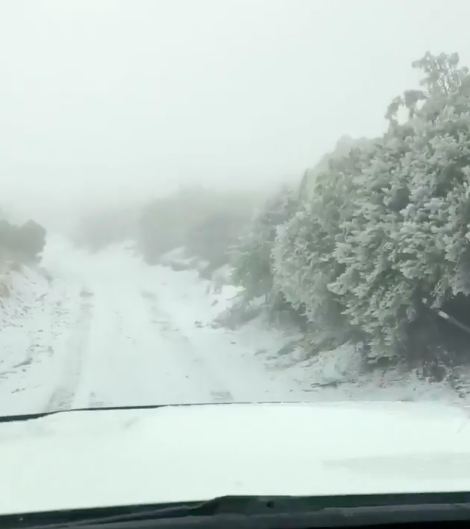 Polipoli Spring State Recreation Area on Maui was blanketed in snow this weekend during a powerful winter storm. At 6,200 feet, this may be the lowest elevation at which snow has been recorded in Hawai’i.