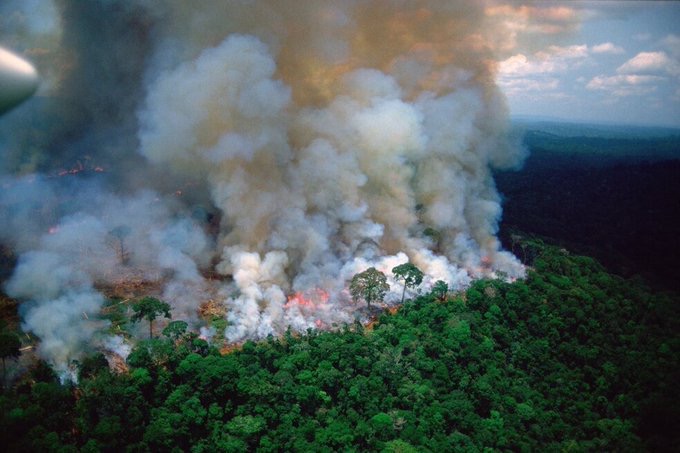 Fires Continue to Rage in the Amazon