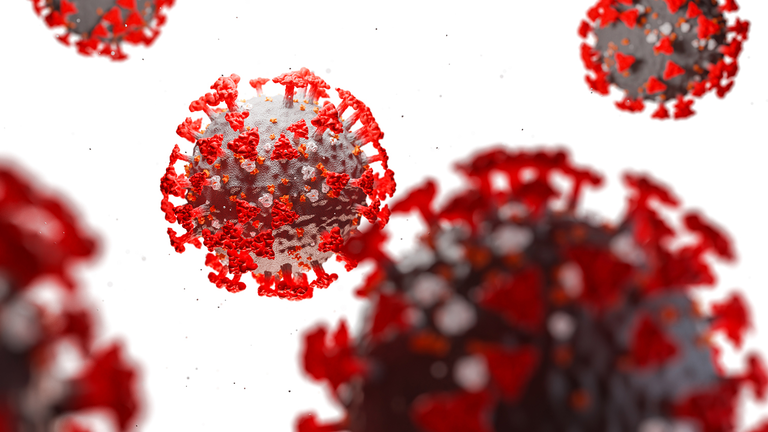 COVID Update: US Virus Deaths Surpass 450,000