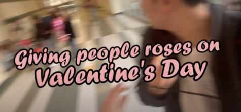 Rosey Posey: Giving People Roses on Valentine’s Day