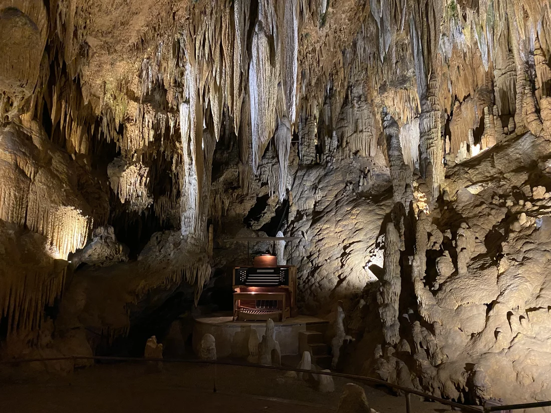 Visit the World's Largest Musical Instrument over the Break