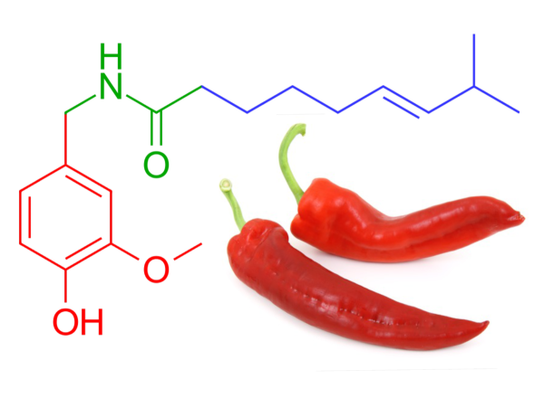 Why Does Spicy Food Make Your Nose Run?