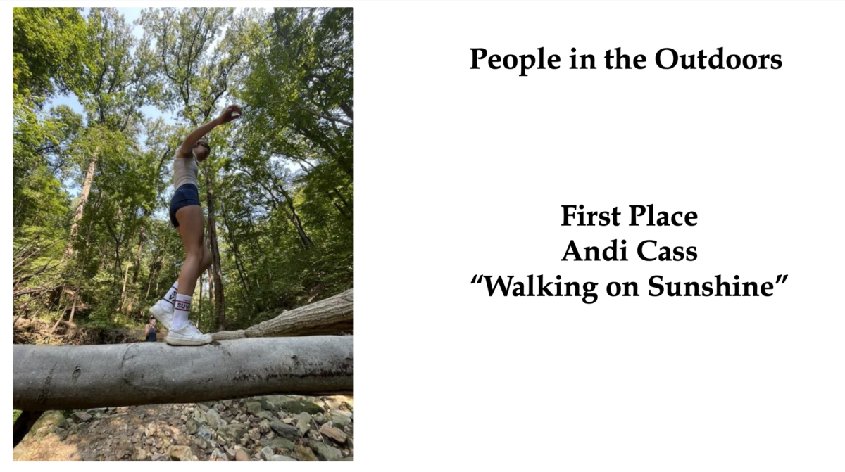 Northern Virginia Conservation Trust Photography Competition Winners