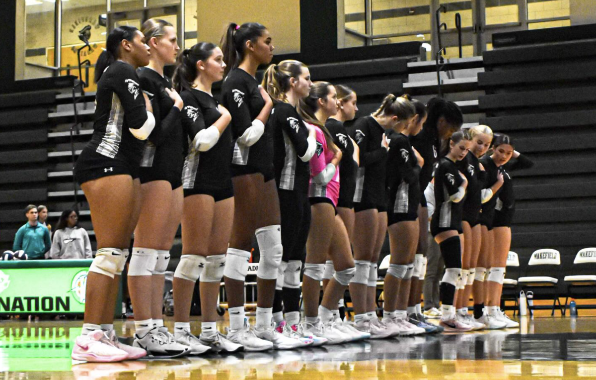 Varsity team lined up before a big game. Photo found @wakefieldvball on instagram
