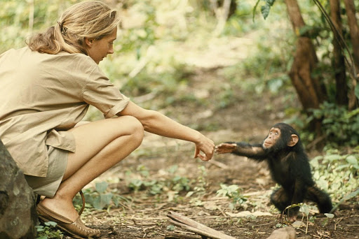 Photo found at education.nationalgeographic.org
