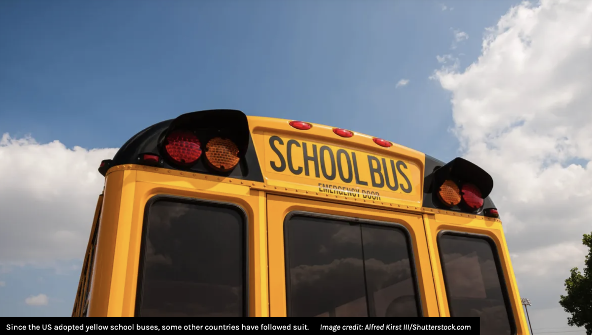 Why Are School Buses Painted Yellow In The US?