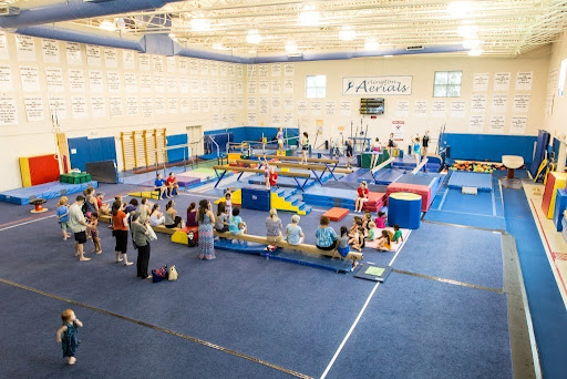 Arlington County Budget Proposal Threatens to Cut Gymnastics Program