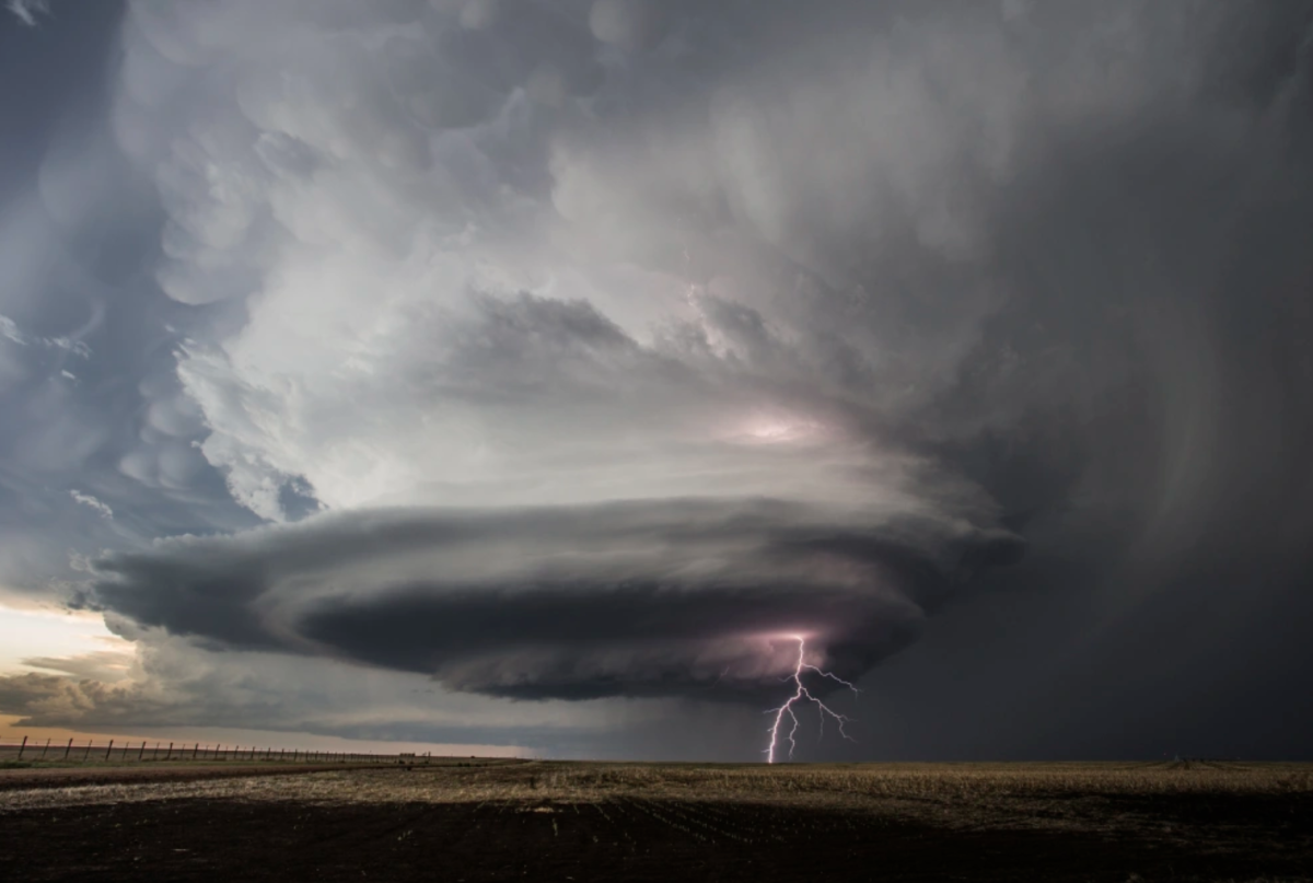 Photo found at nbcnews.com/science