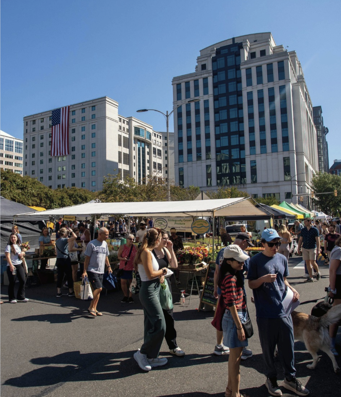 Go to a Farmer's Market this summer. Photo found at @freshfarmva